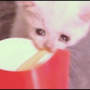 Meet your Posher, Nicholas